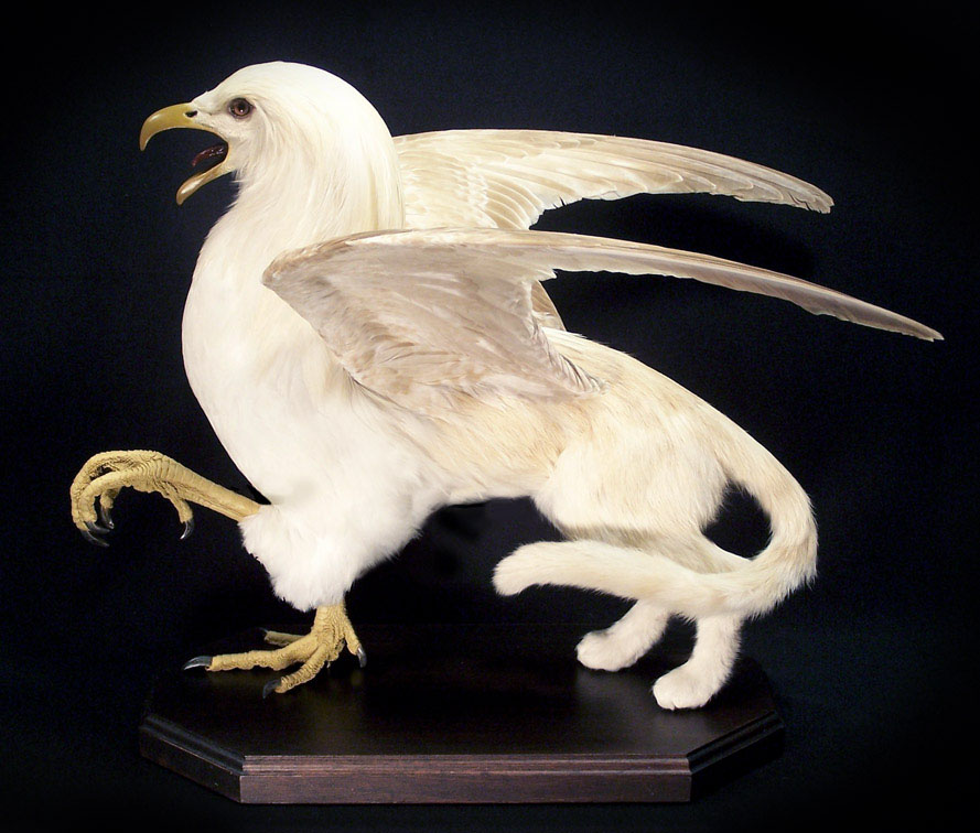 THE IVORY GRIFFIN 