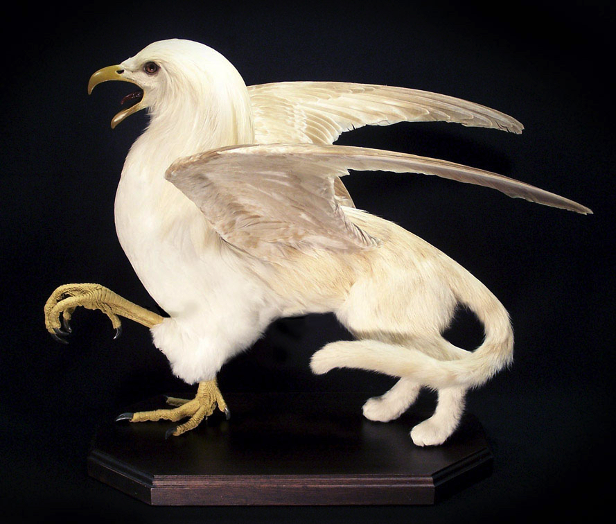 THE IVORY GRIFFIN 
